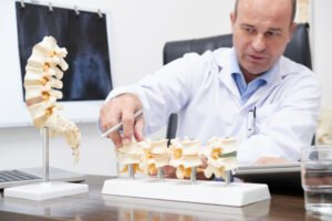 Explaining bone density