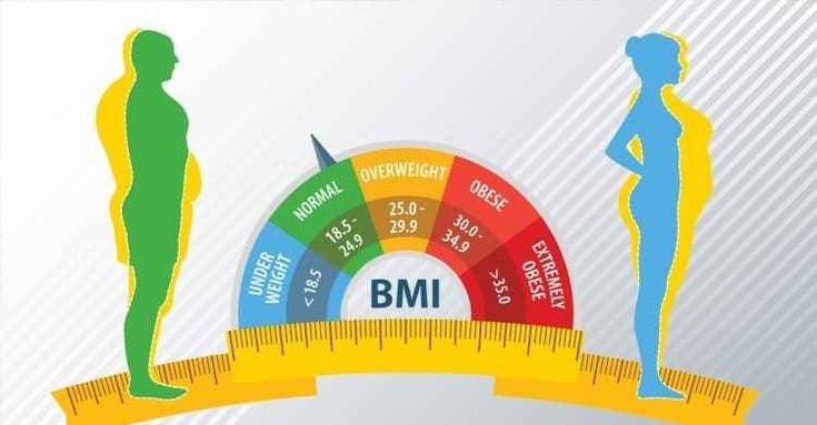 BMI Chart for Men and Women Learn If Your Weight…