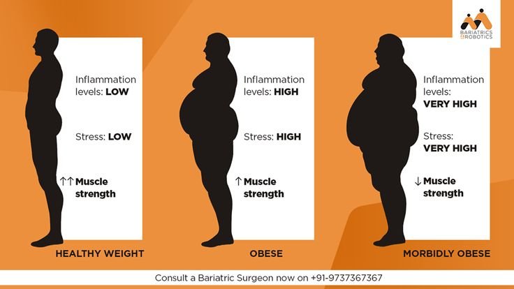 Body Weight Fact