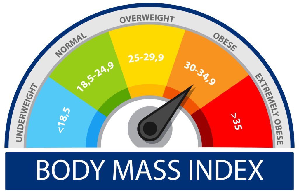 Body Mass Index Gauge