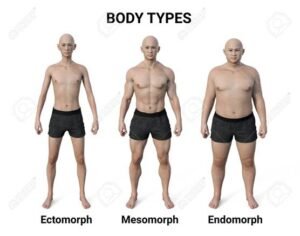 Body Figure Calculator
