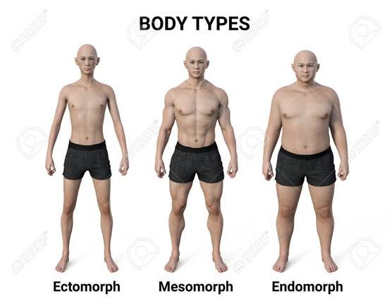 Body Figure Calculator