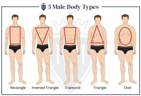 body shape type calculator