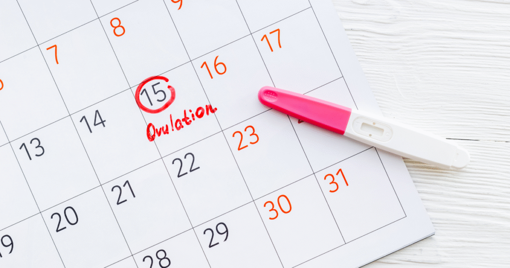 Signs Ovulation Is Over: Know Your Cycle Clearly 4 image