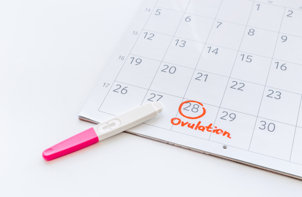 Can You Ovulate Early? A Guide to Your Cycle’s Timing 2 image