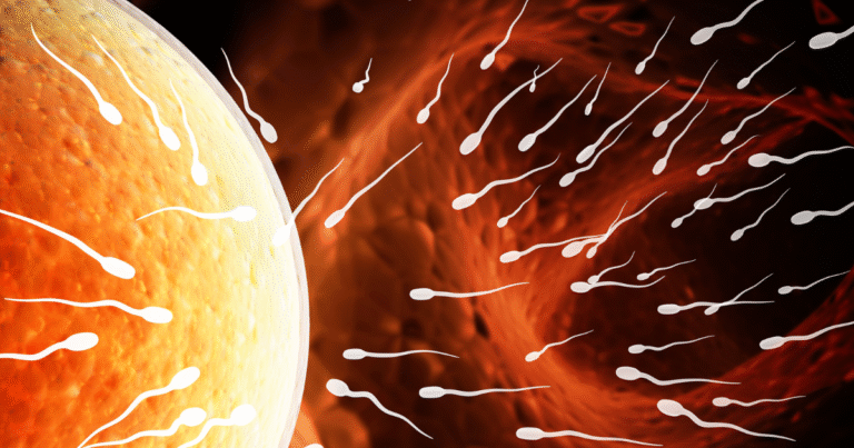 ovulation fatigue