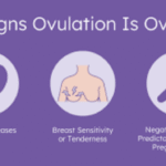Signs Ovulation Is Over: Know Your Cycle Clearly signs ovulation is over