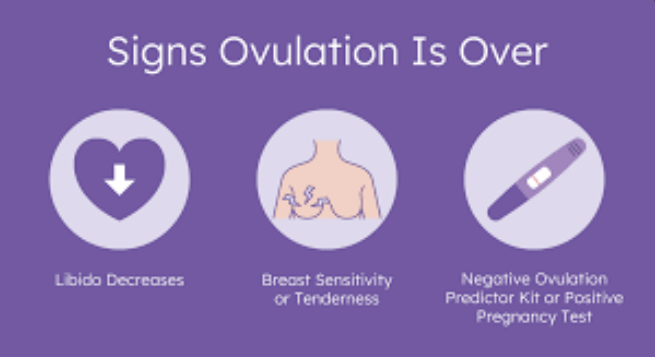 signs ovulation is over