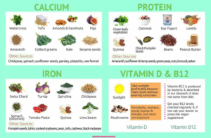 Pregnancy Meal Plan