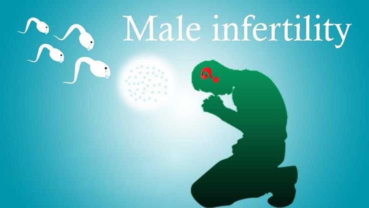 Male Fertility & Age