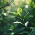 ayurvedic medicine for stress and anxiety