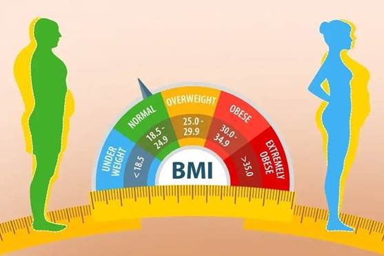 what is my lean body mass