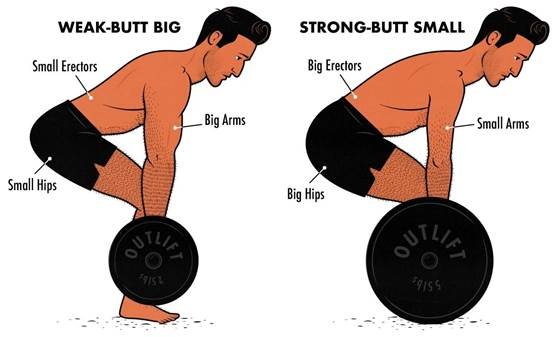 Bulking/Muscle Growth: How to Add Weight with Lean Bulking & Ultimate Meal Plan Tips 2 image