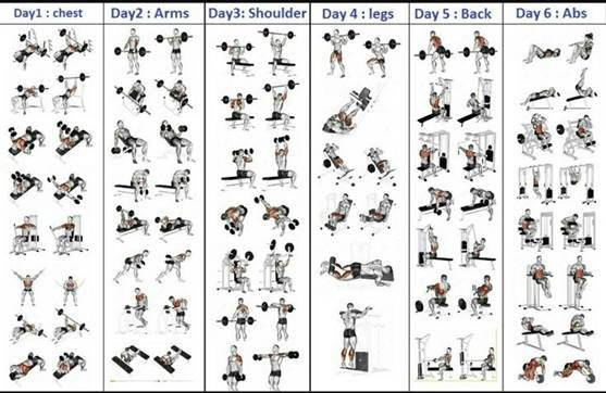 Resistance Training Muscle Growth: The Ultimate Guide to Building Strength and Size 2 image