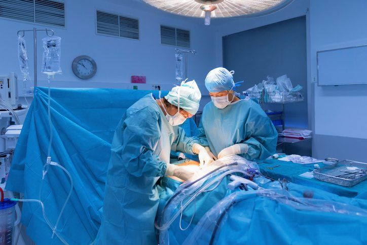 Ectopic Pregnancy Help & Care in Florida 3 image
