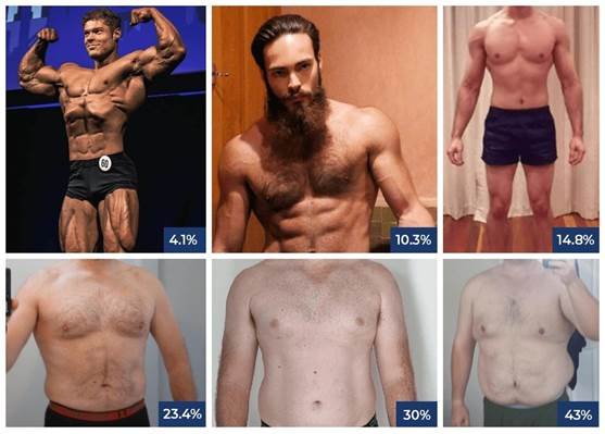Fat vs Muscle