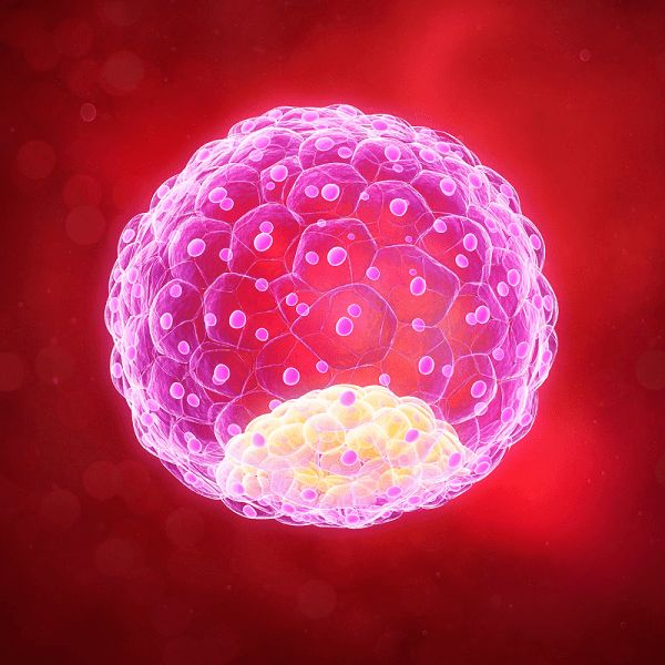 Male Fertility & Age: Powerful Guide with Charts & Facts 2 image