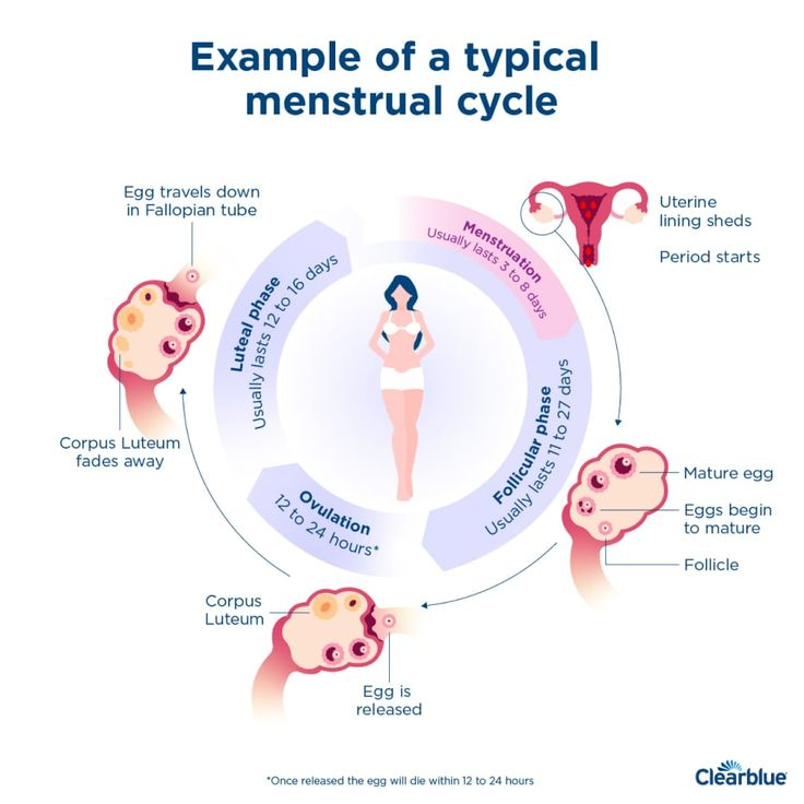 2 Periods in a Month: Causes, Care and Solutions 1 image